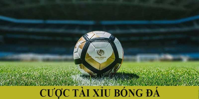 Cược tài xỉu