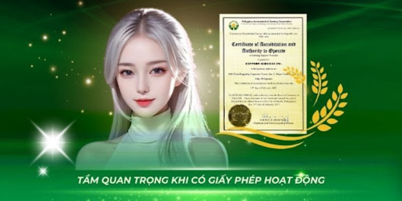 Tầm ảnh hướng của giấy phép hoạt động đối với nền tảng  