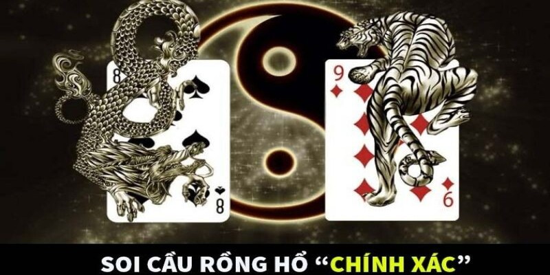 Bật mí cách soi cầu rồng hổ chính xác